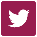 Career Connect social media icon.